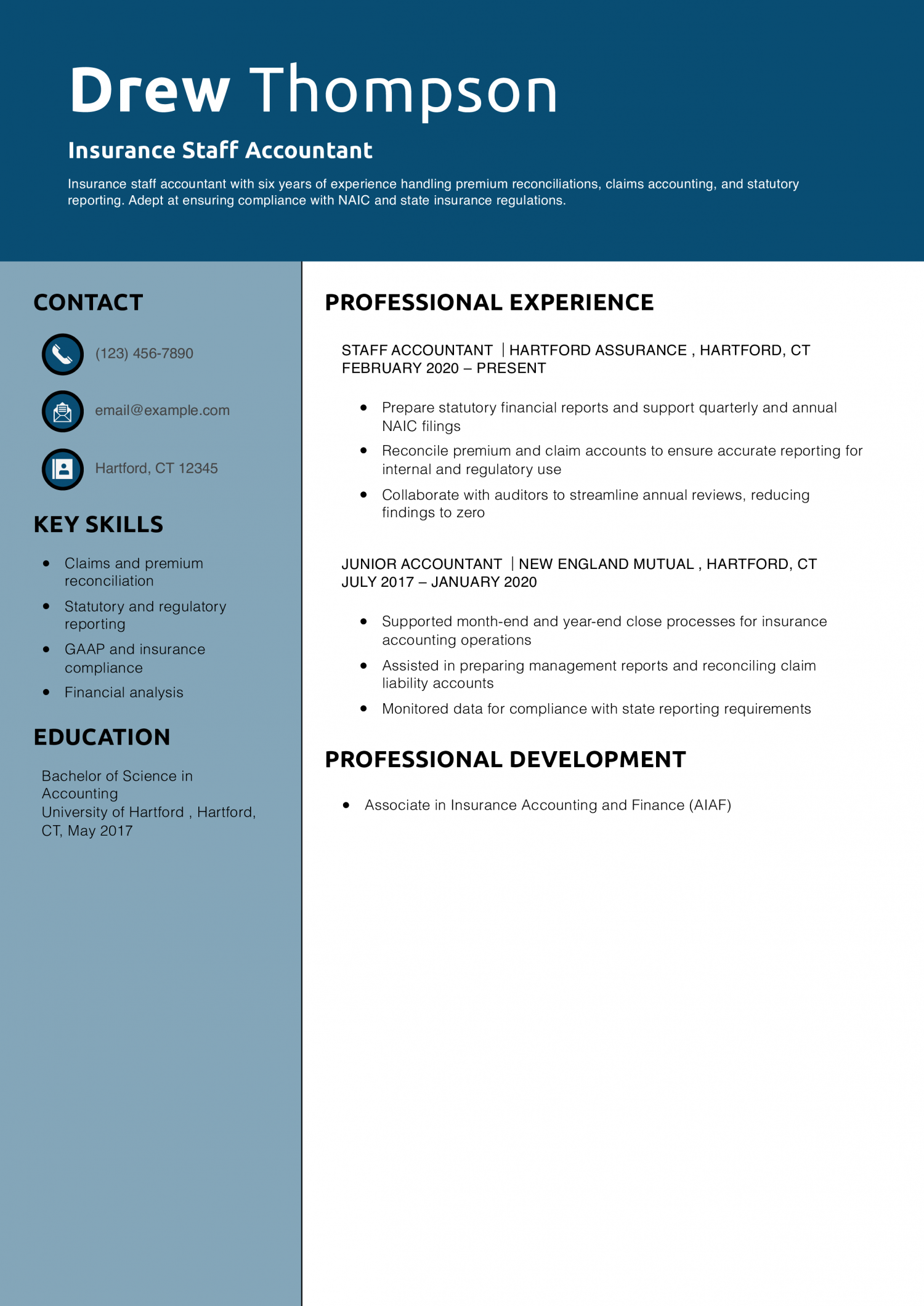 Insurance Staff Accountant Resume Example