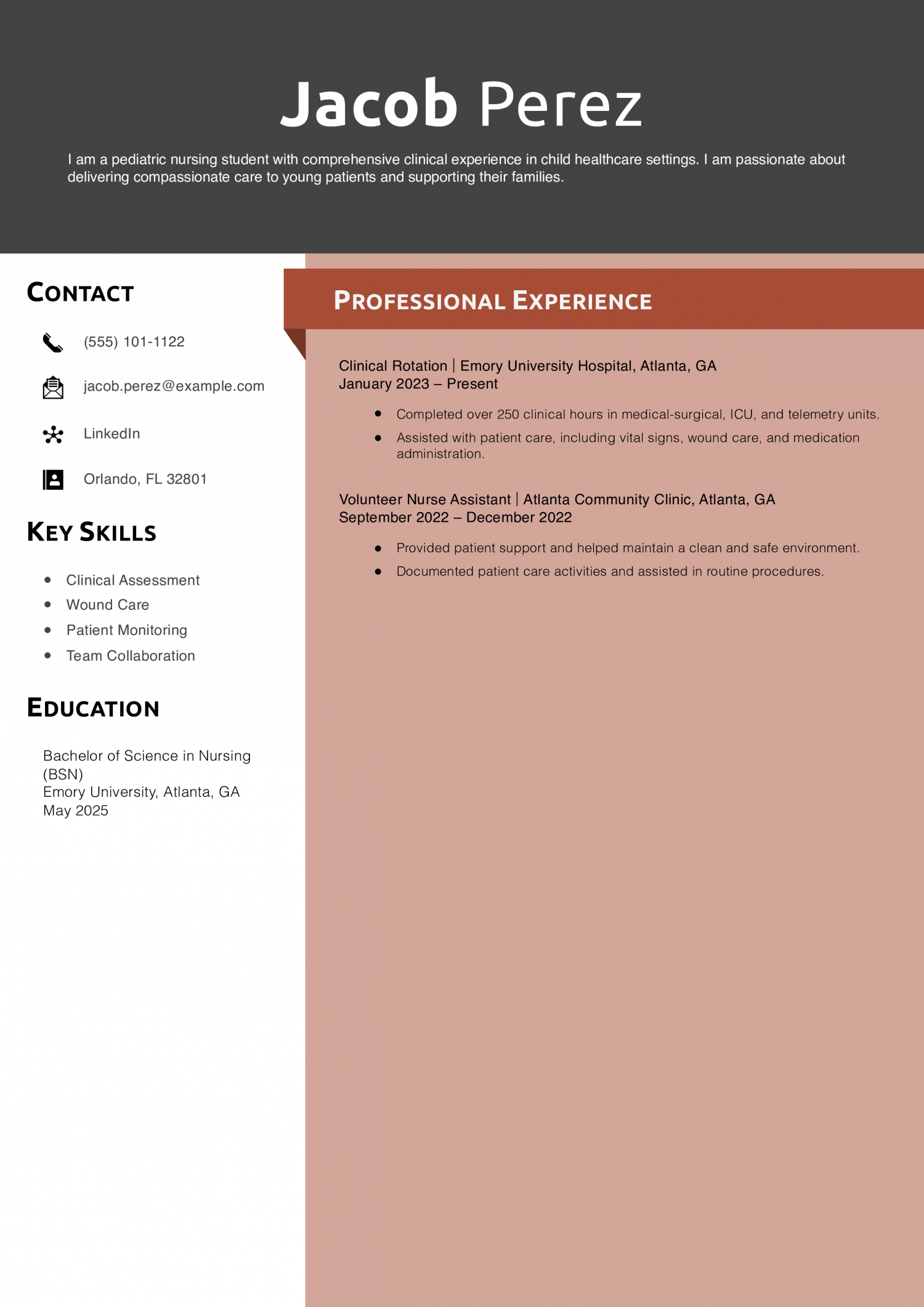 Pediatric Nursing Student Resume Example