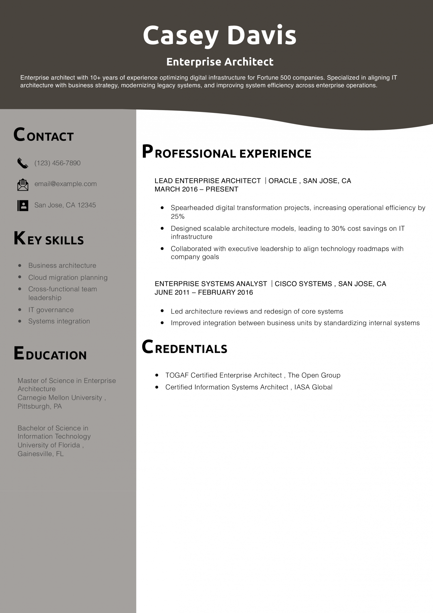 Enterprise Architect Resume Example