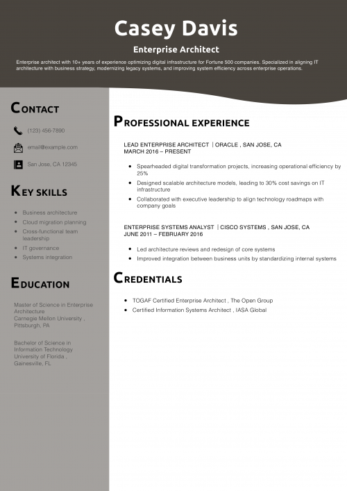 Enterprise Architect Resume Example
