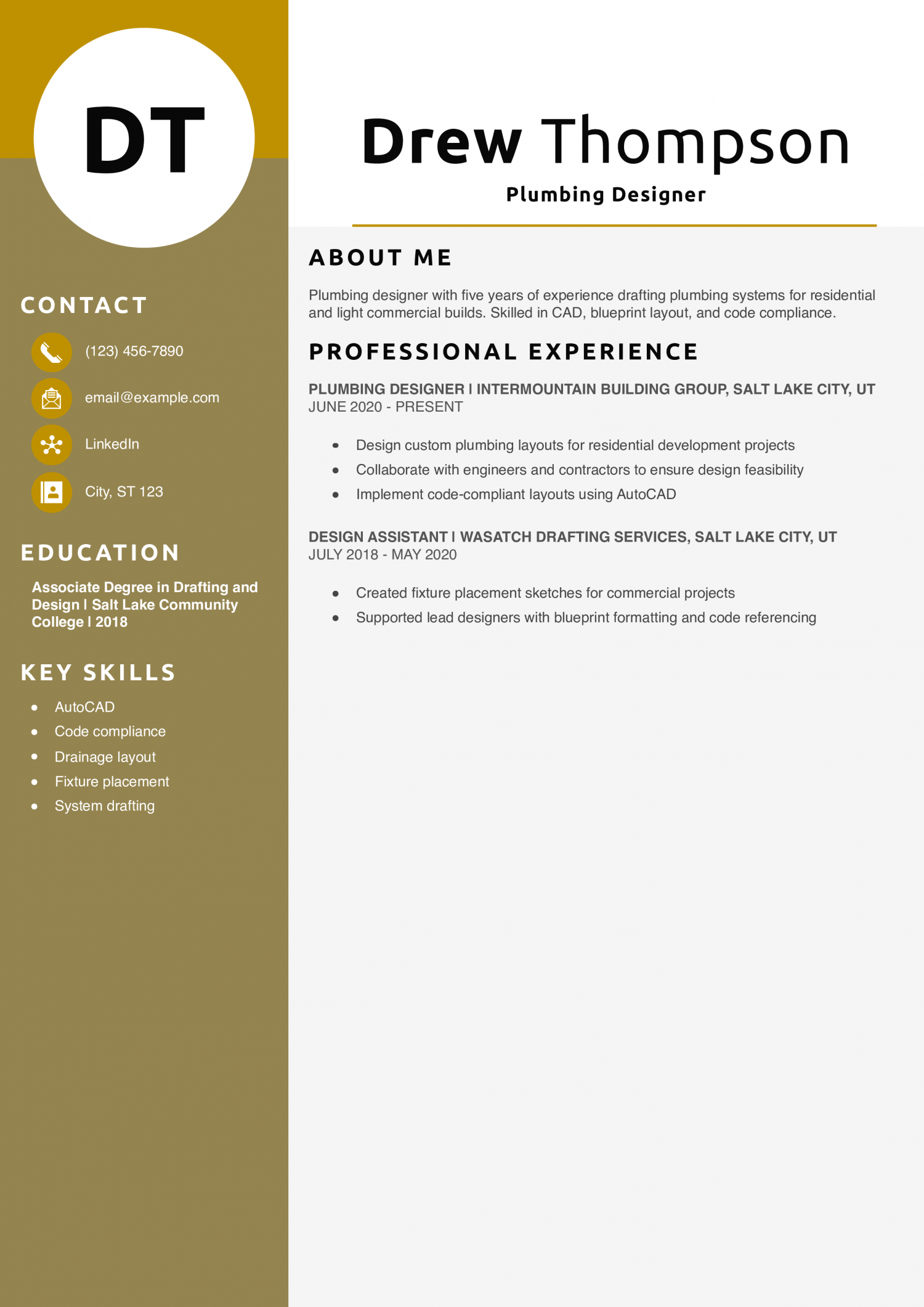 Plumbing Designer Resume Example