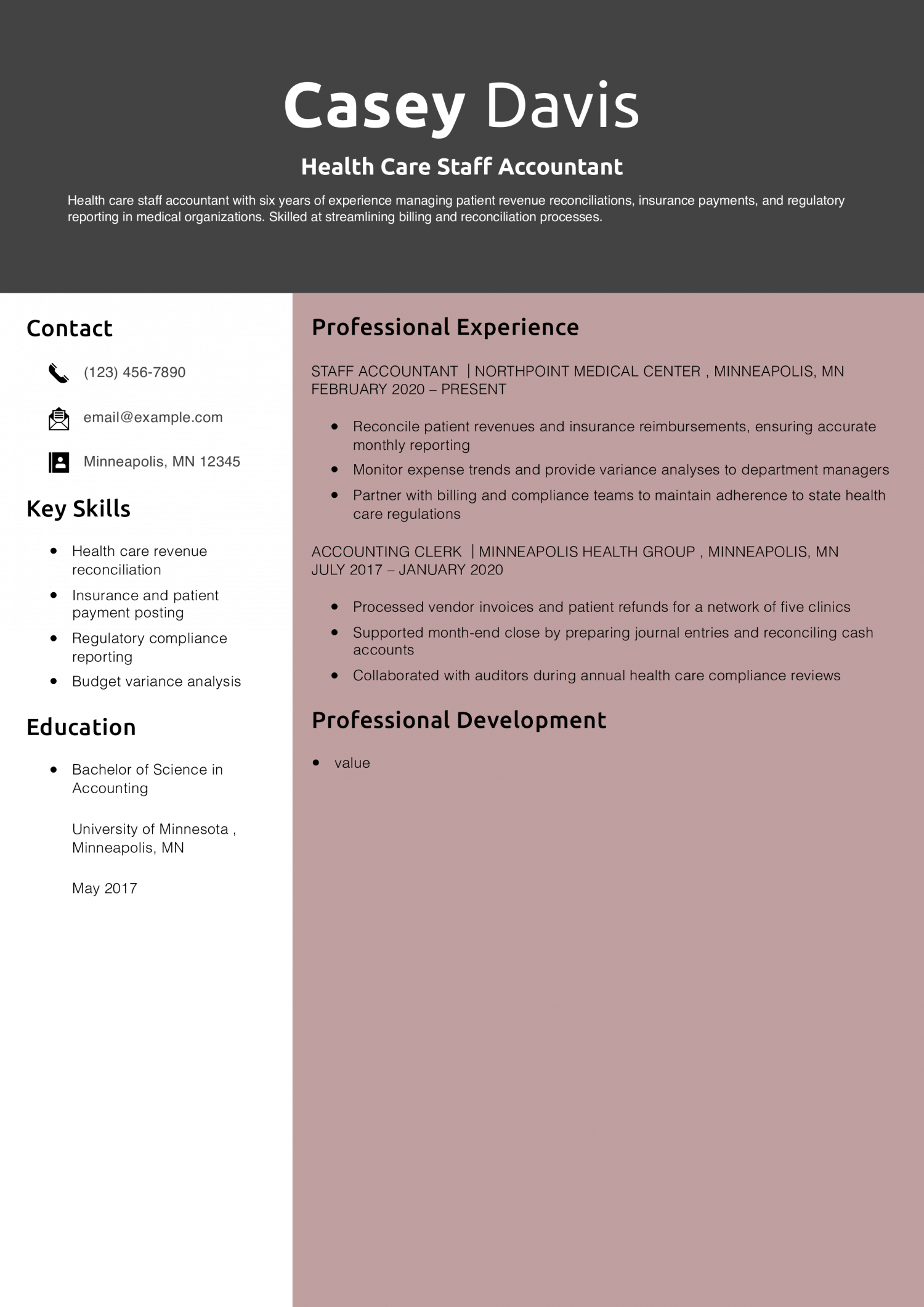 Health Care Staff Accountant Resume Example