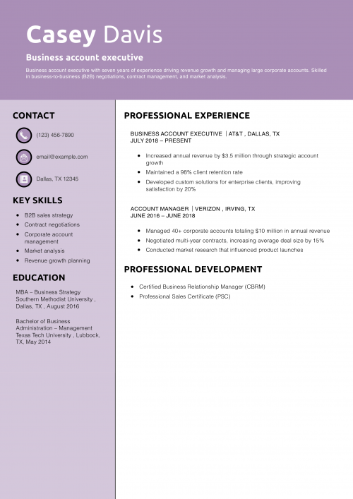 Business account executive resume example 