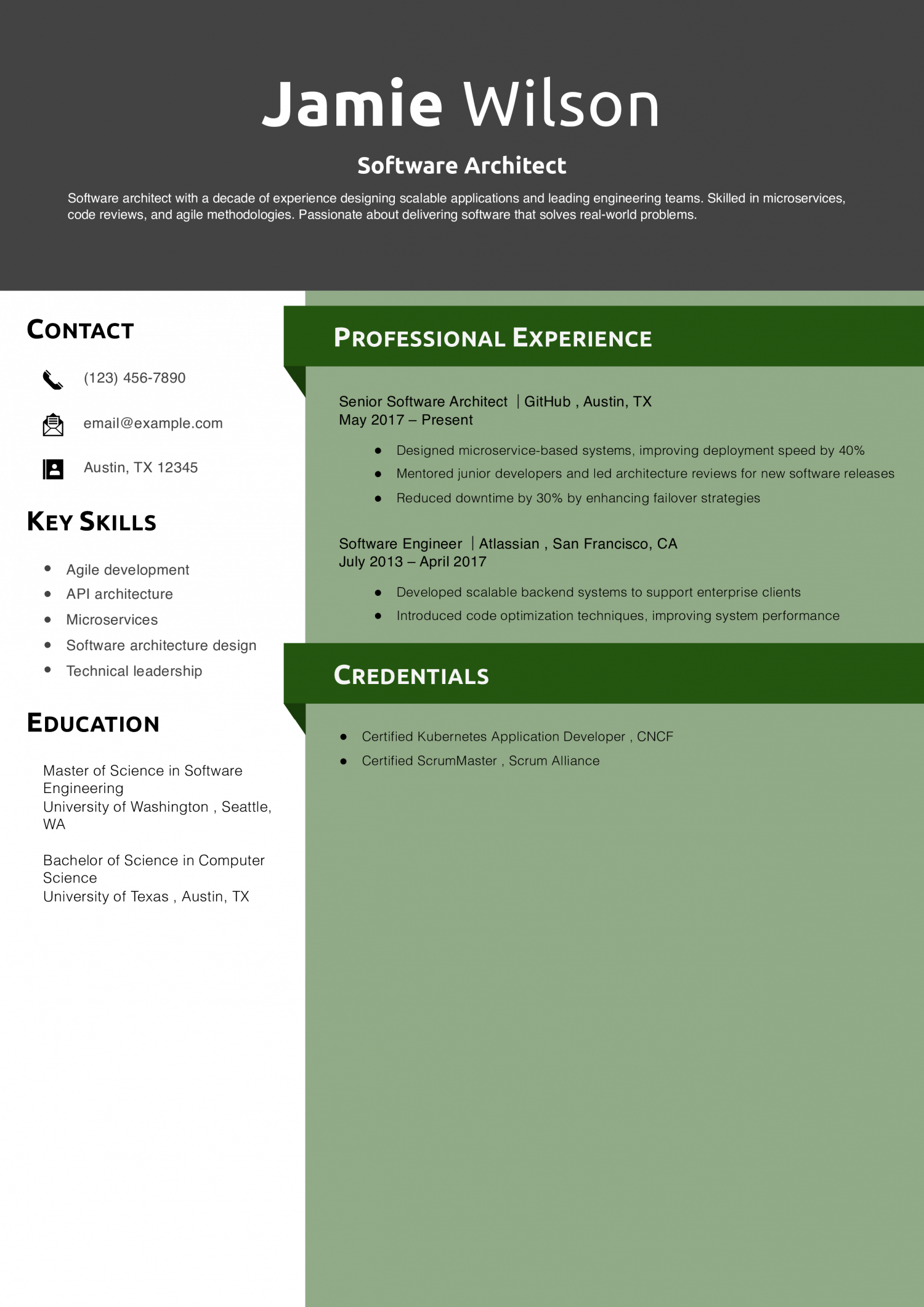 Software Architect Resume Example
