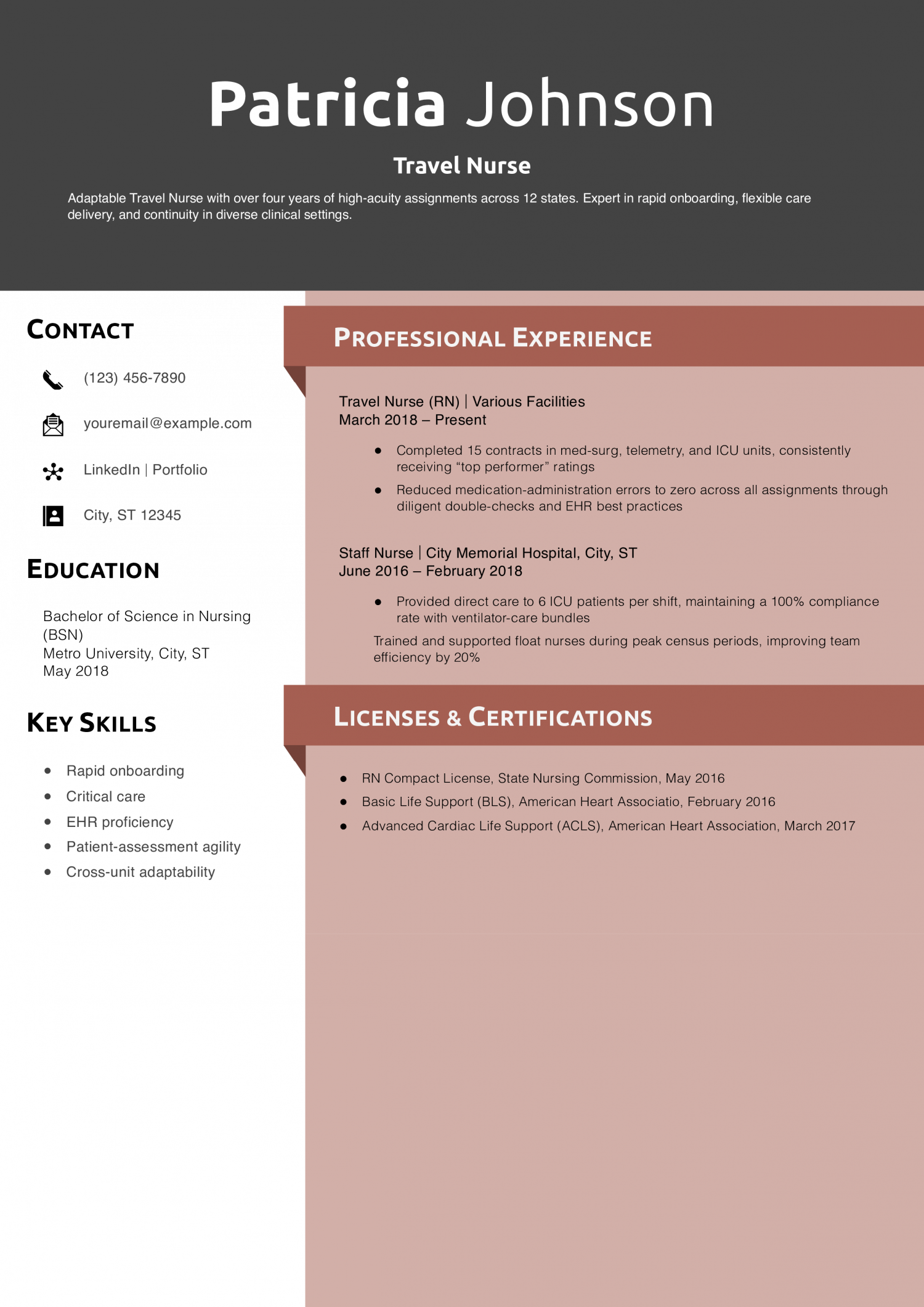 Travel Nurse Resume Example