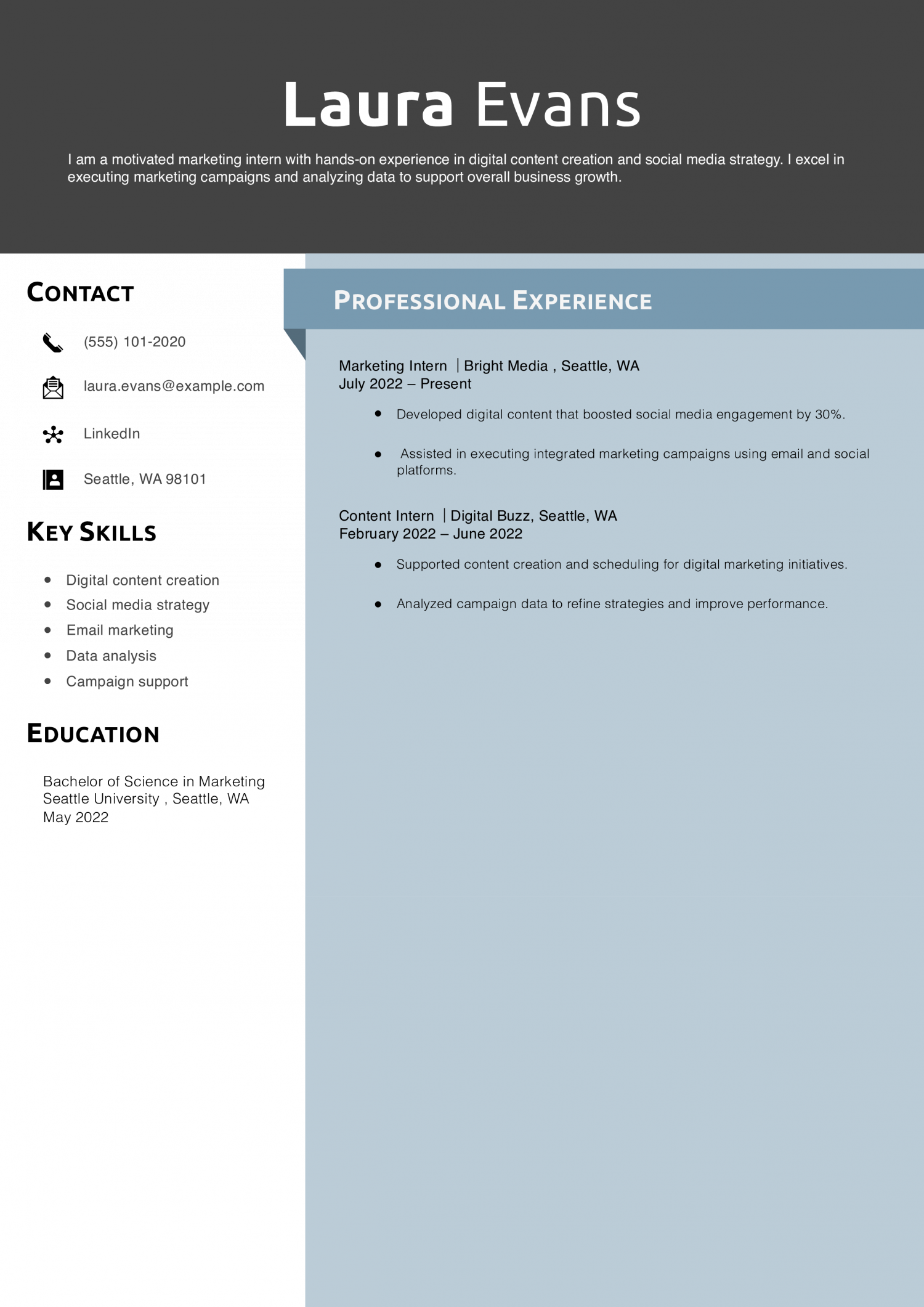 Entry-Level Marketing Resume Example 