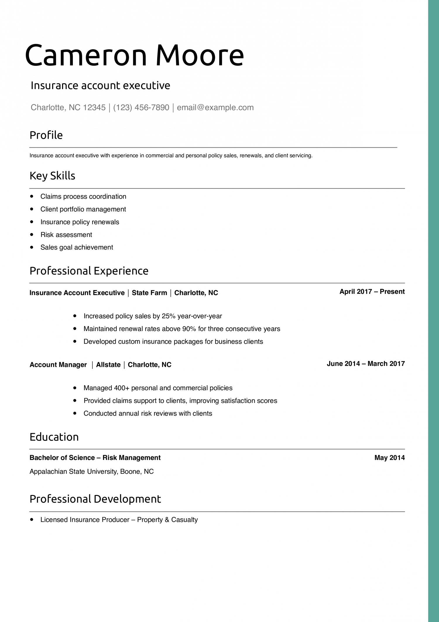Insurance account executive resume example