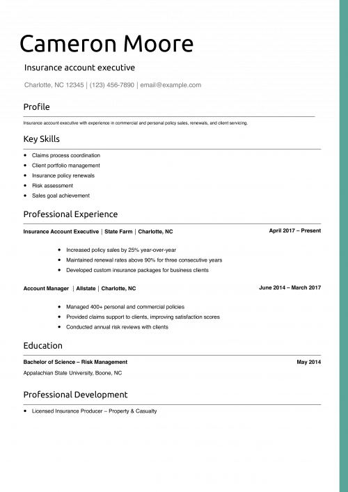 Insurance account executive resume example