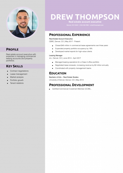 Real estate account executive resume example
