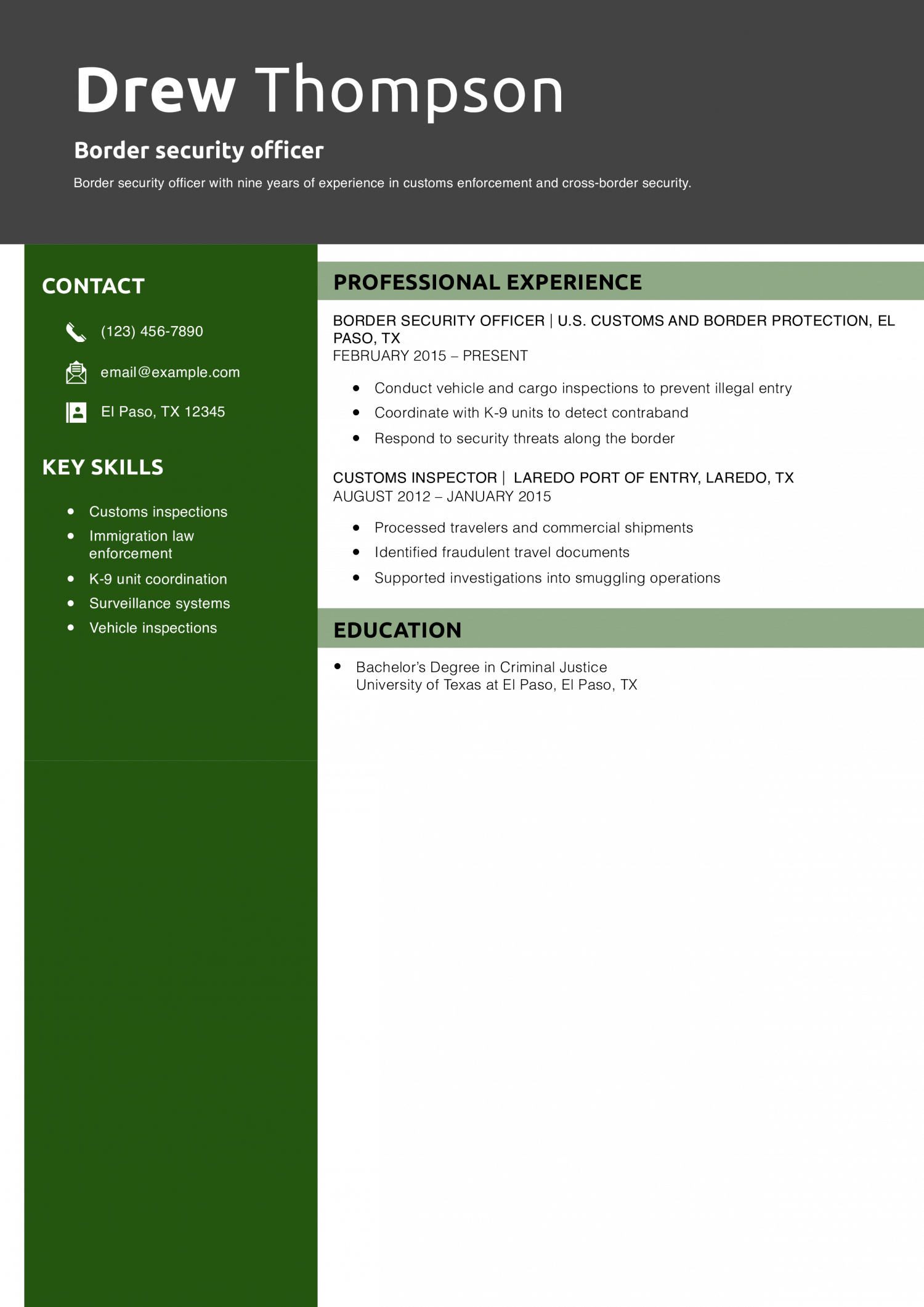 Border security officer resume example