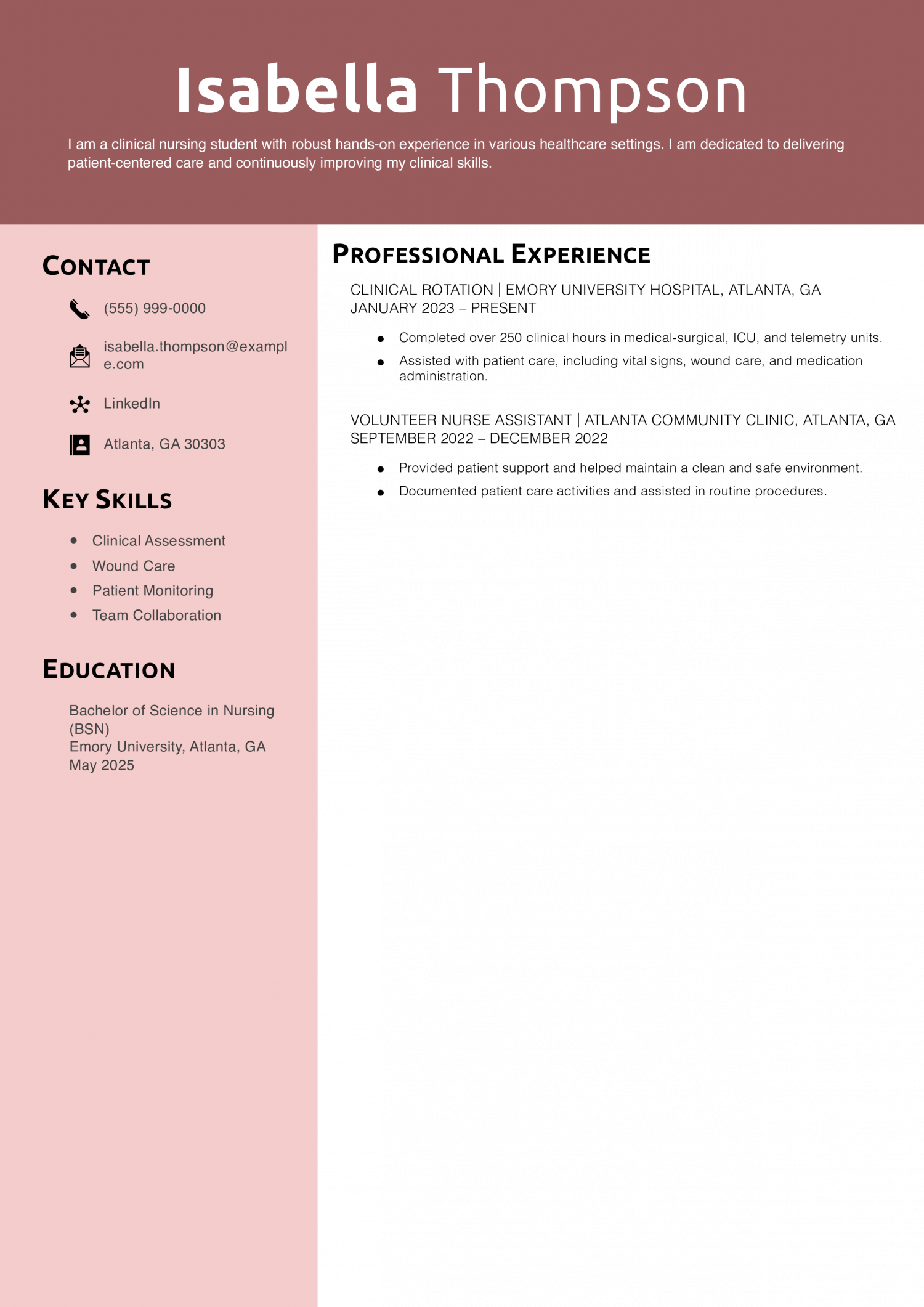 Clinical Nursing Student Resume Example
