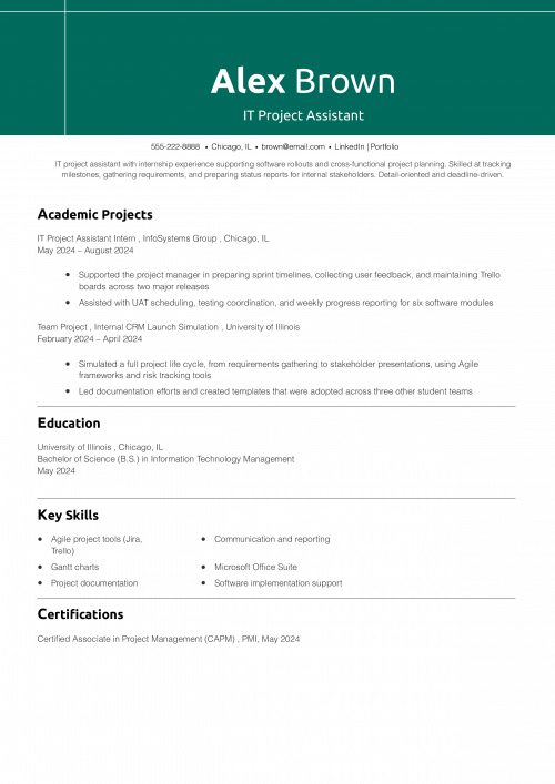 IT Project Assistant Resume 