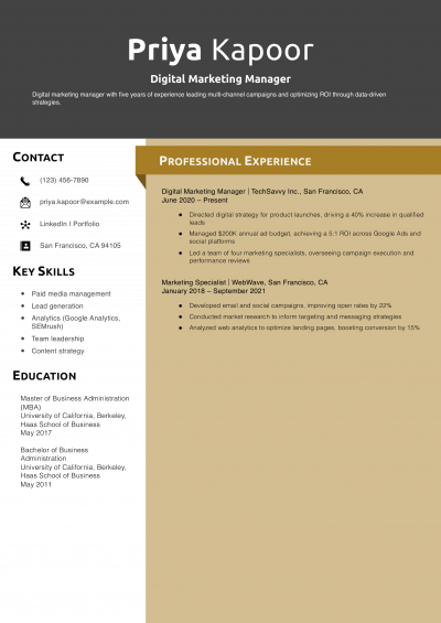 Digital Marketing Manager Resume Example
