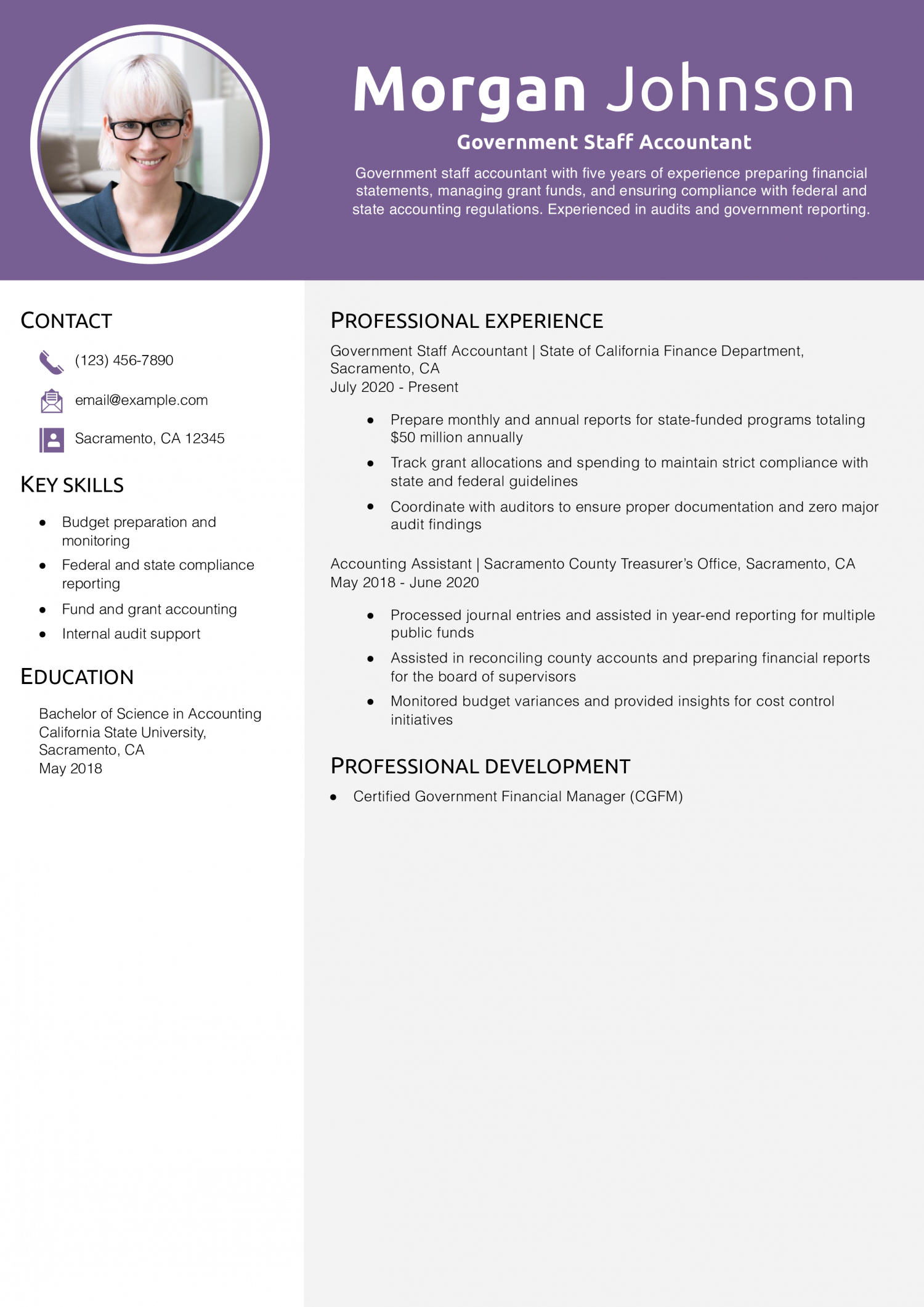 Government Staff Accountant Resume Example