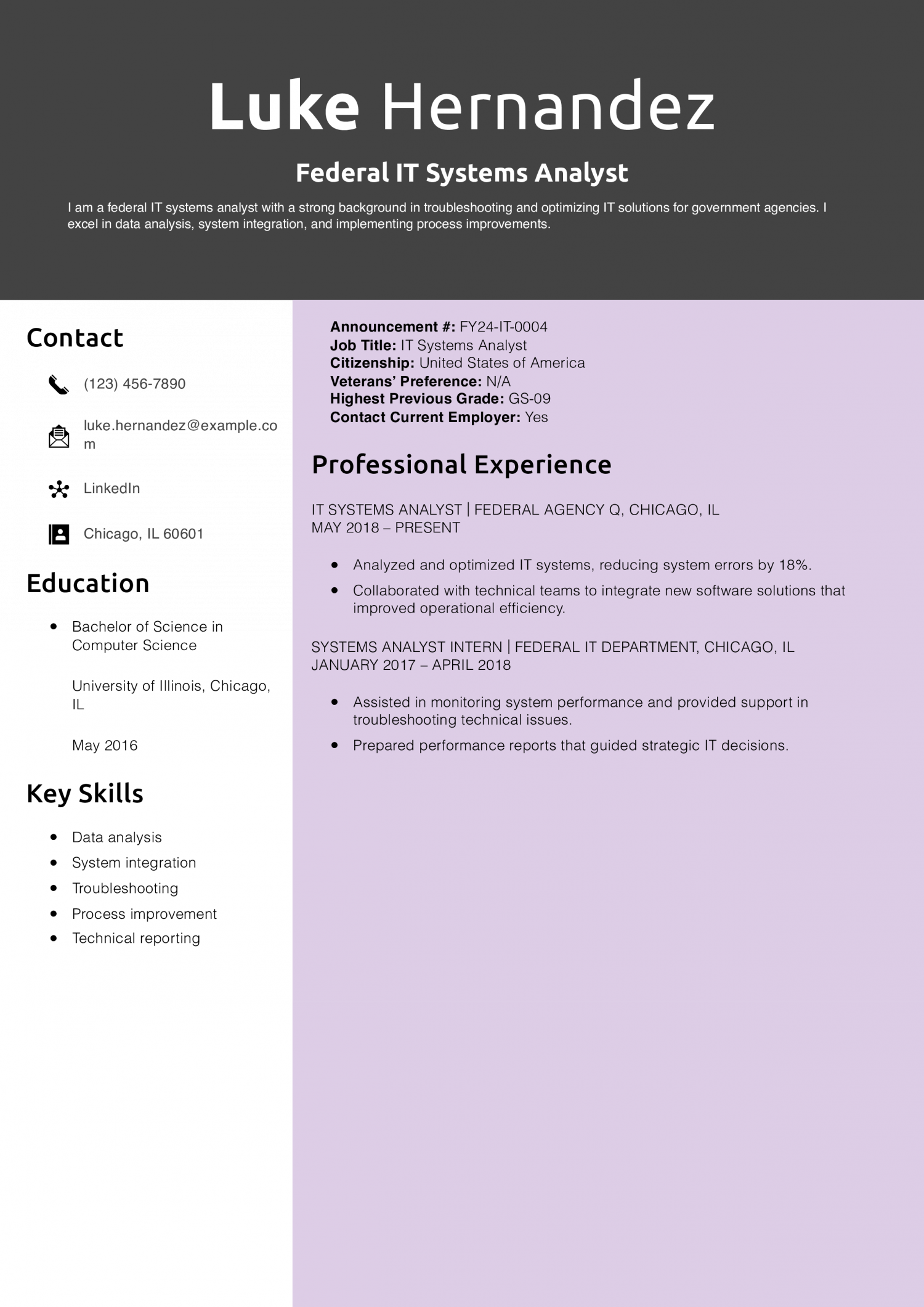 Federal IT Systems Analyst Resume Example