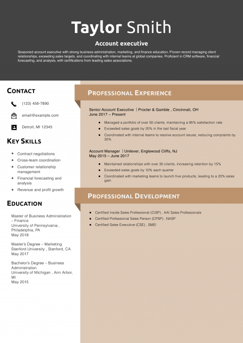 Account executive resume example 