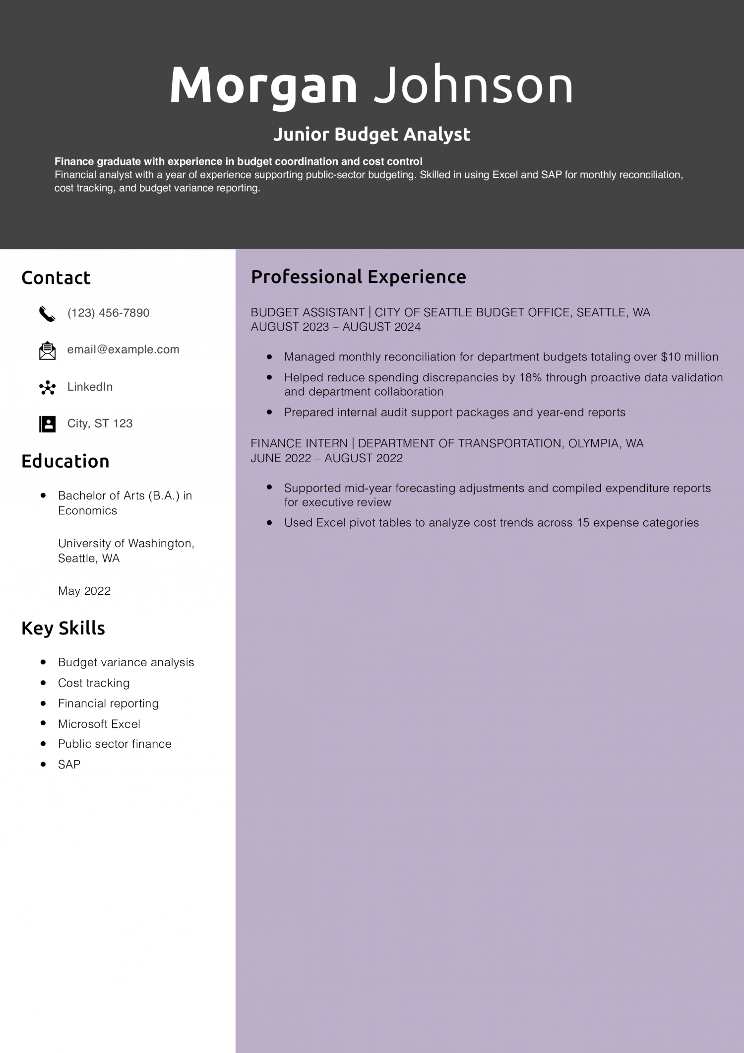 Junior Budget Analyst Resume Example