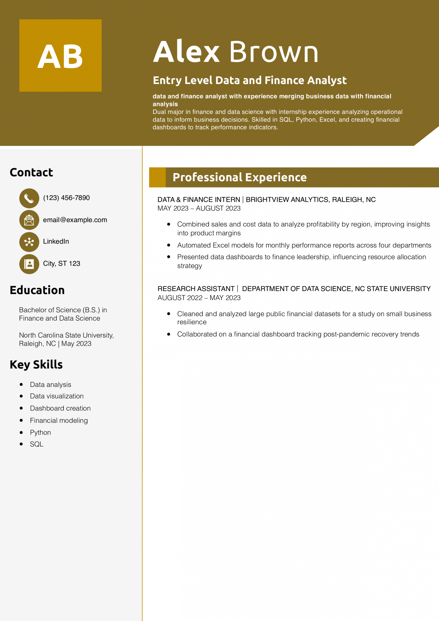 Entry Level Data and Finance Analyst Resume Example