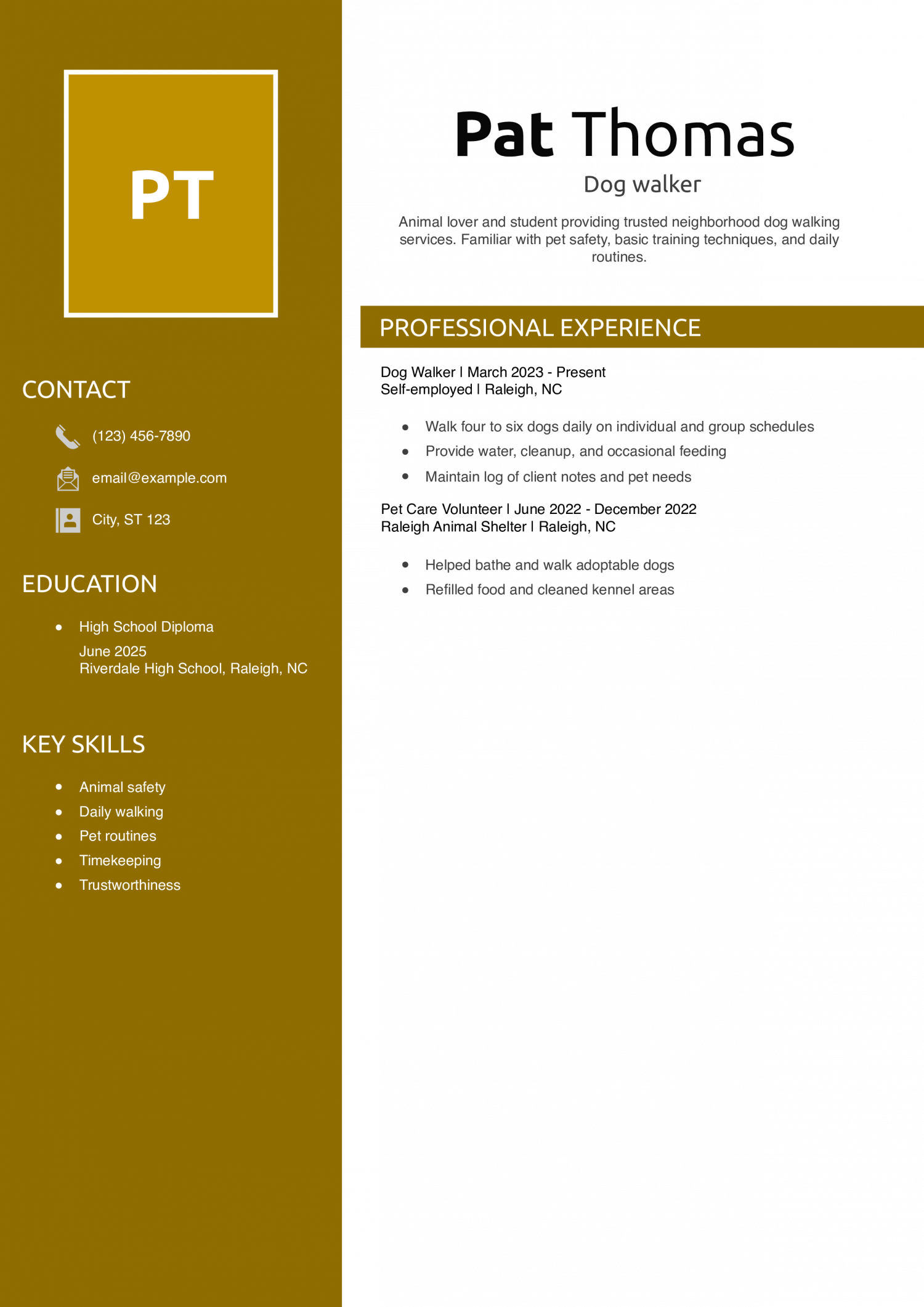 Dog walker resume example