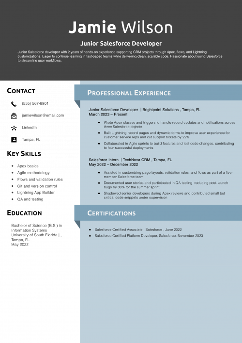 Junior Salesforce Developer Resume Example 