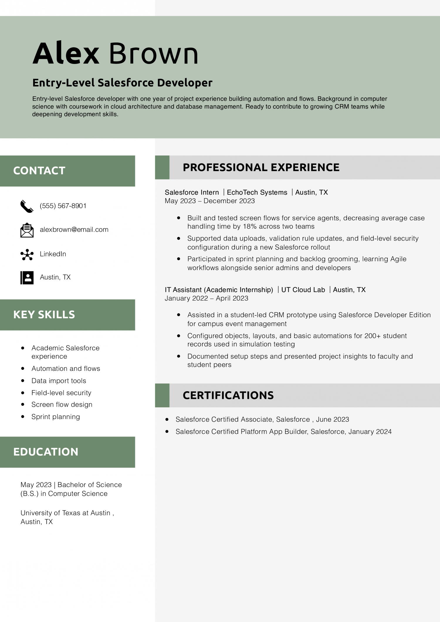 Entry-Level Salesforce Developer Resume Example 