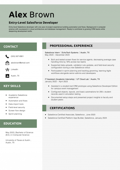 Entry-Level Salesforce Developer Resume Example 
