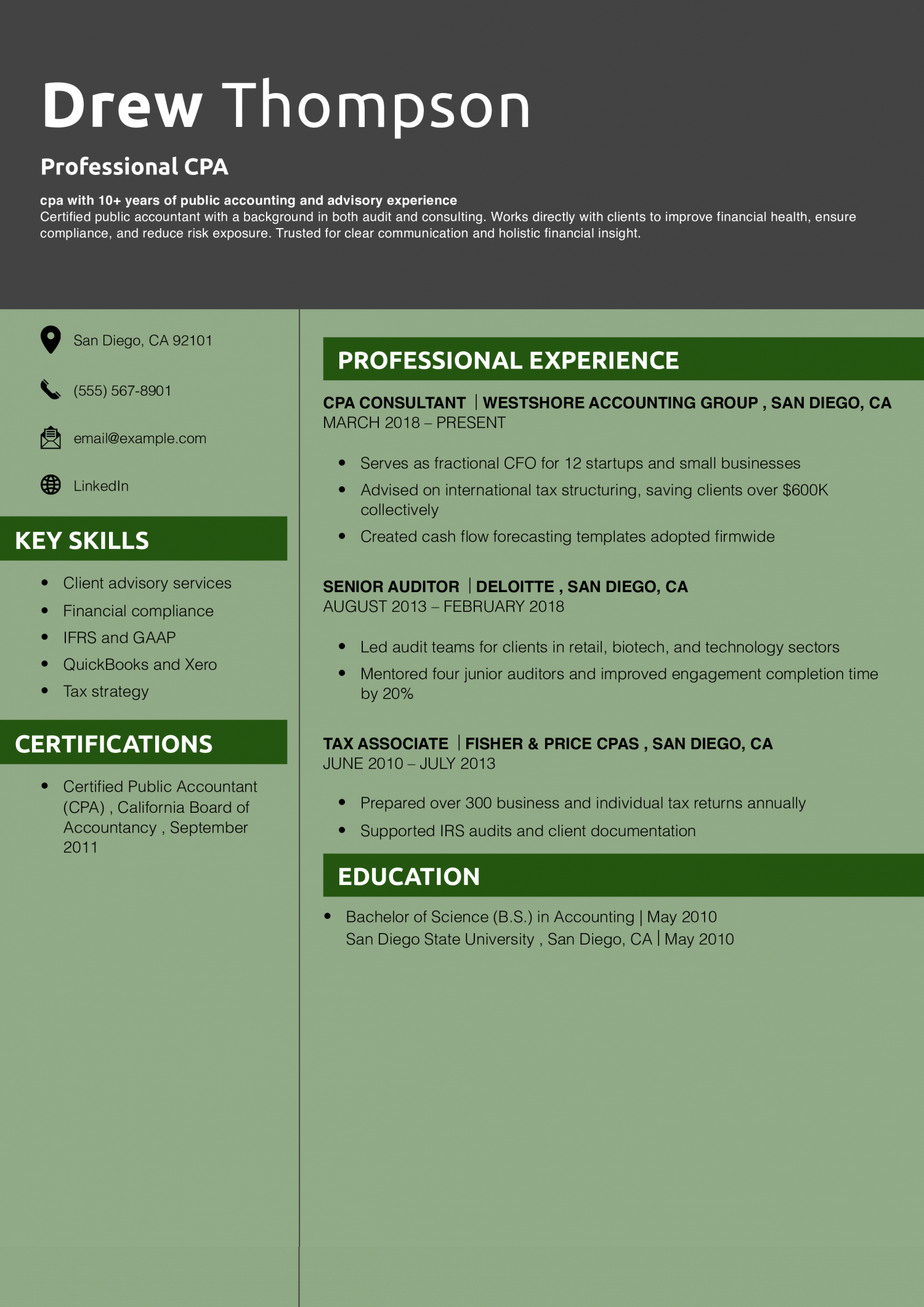 Professional CPA Resume 