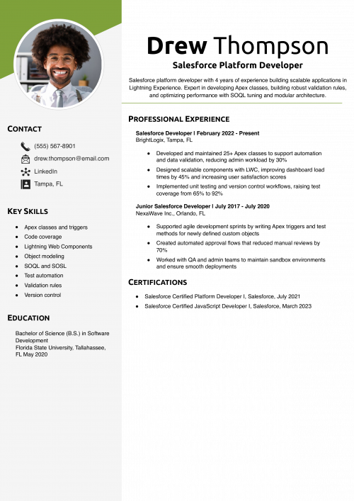 Salesforce Platform Developer Resume 