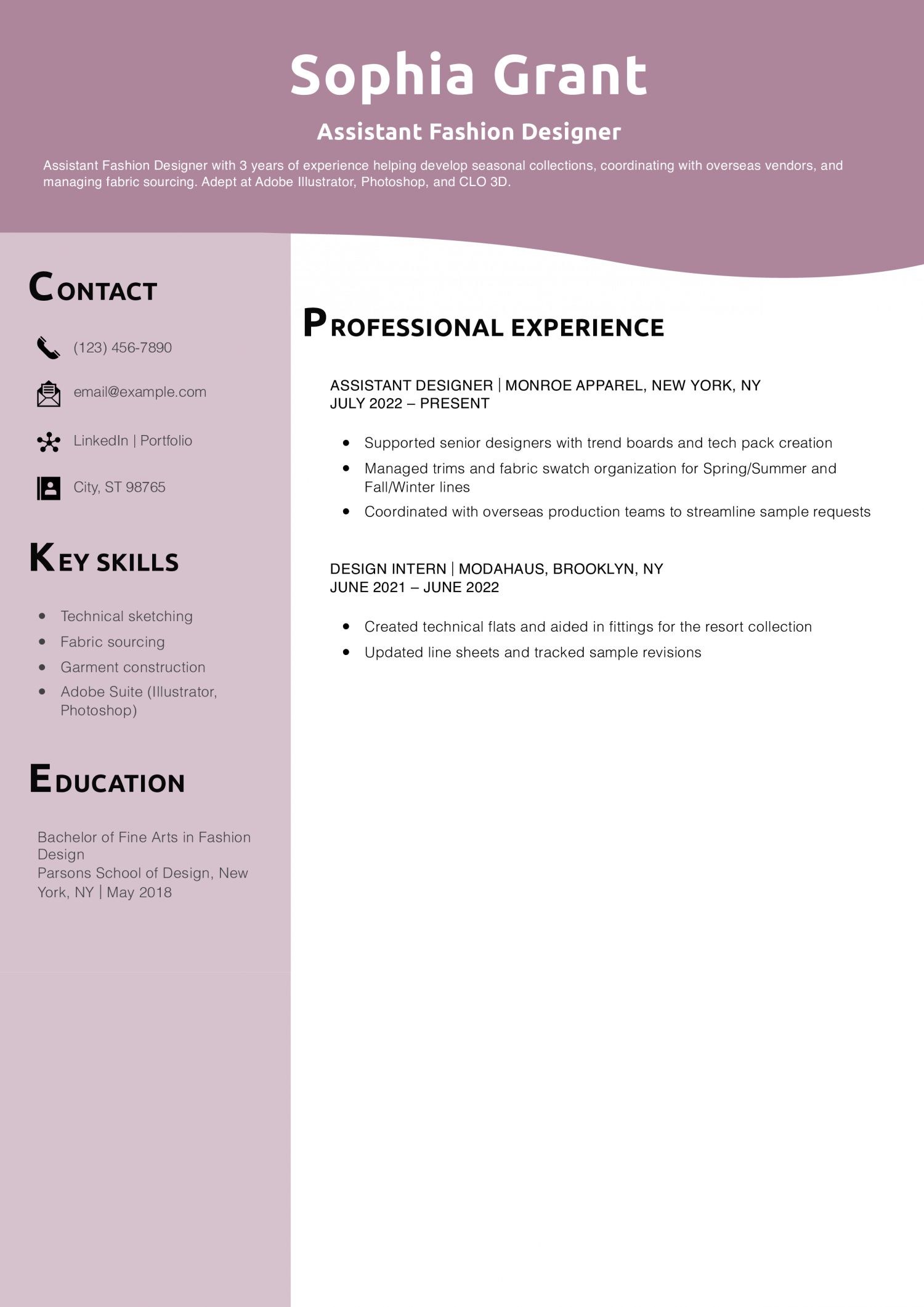 Assistant Fashion Designer Resume