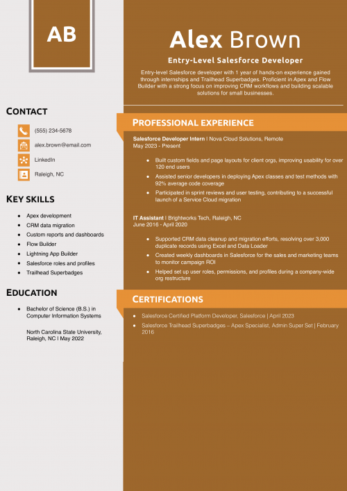 Entry-Level Salesforce Developer  