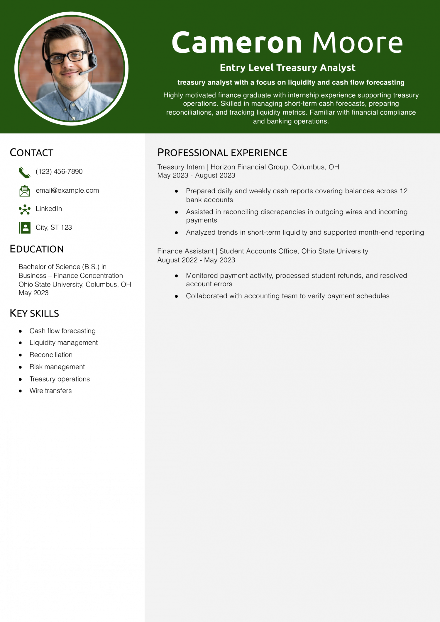 Entry Level Treasury Analyst Resume Example