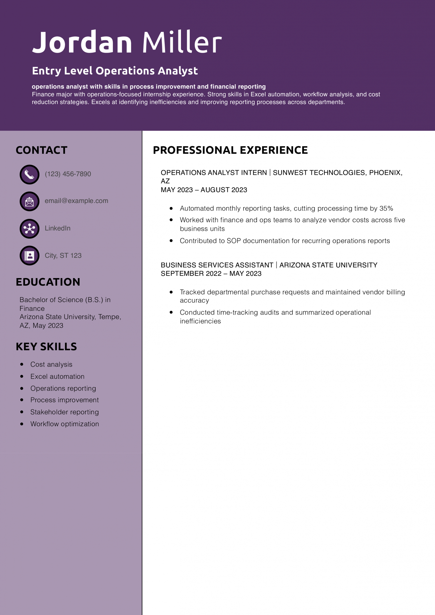 Entry Level Operations Analyst Resume Example