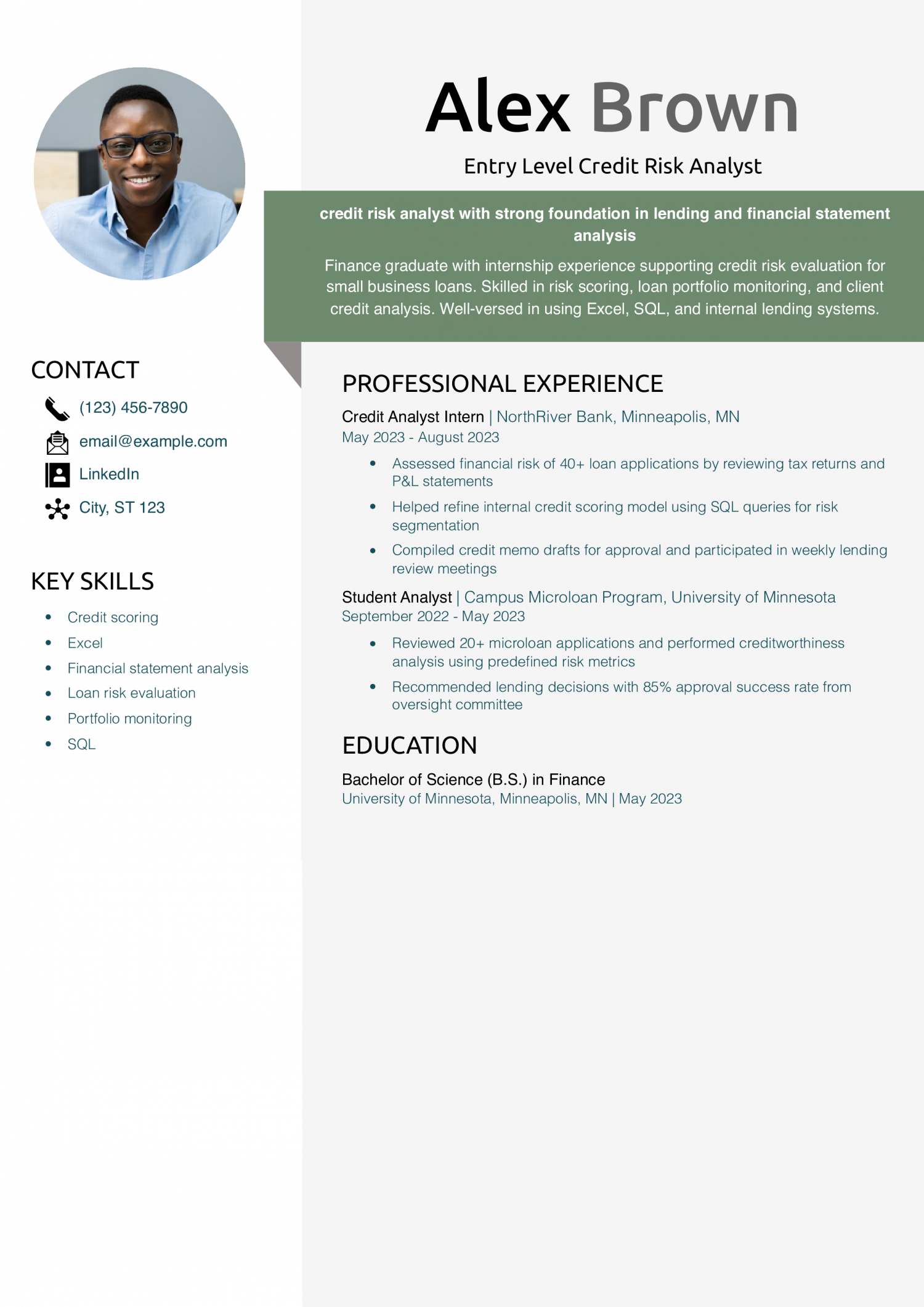 Entry Level Credit Risk Analyst Resume Example