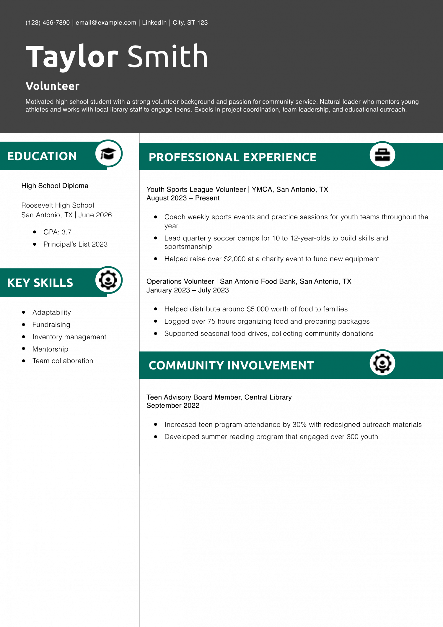 Volunteer resume example