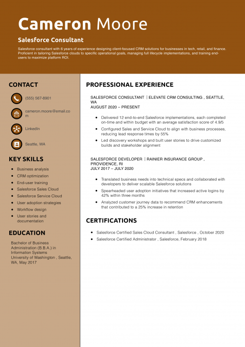 Salesforce Consultant Resume 