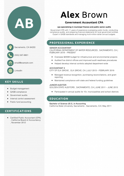 Government Accountant CPA Resume 