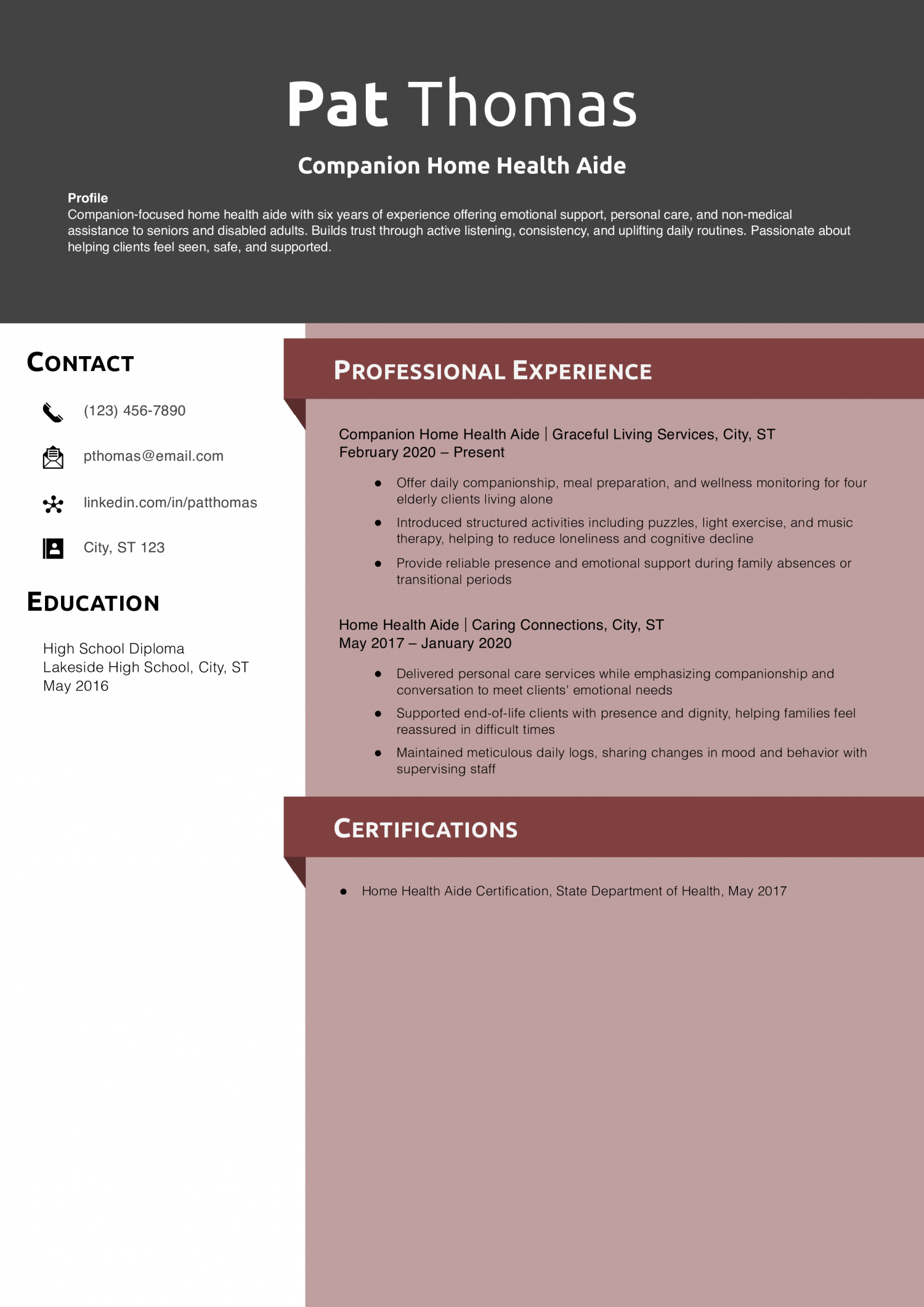 Companion Home Health Aide  Resume Example