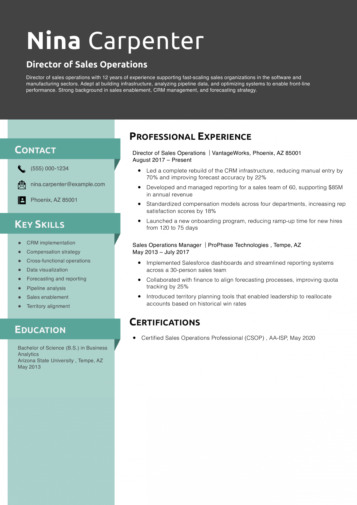 Director of Sales Operations 