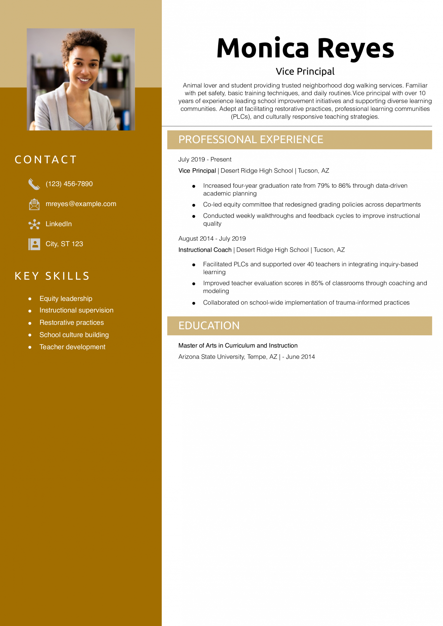 Vice Principal Resume Example